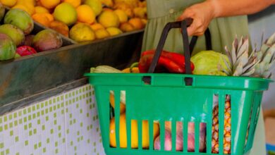 Imagem de uma mulher segurando uma cesta de compras do sacolão cheia de frutas, verduras e legumes
