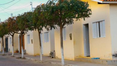 Está sonhando com a casa própria mas o orçamento apertou Lula acaba de anunciar uma grande NOTÍCIA; veja!