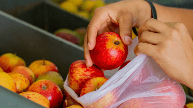 Governo inova e lança cartão alimentação para os brasileiros! Solicite AGORA