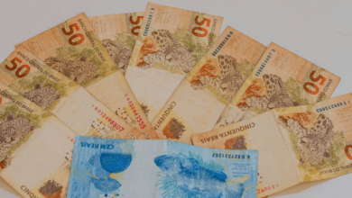 Até setembro, programa que repassa mais de R$ 8 mil aos brasileiros deve selecionar novos NIS; confira a lista!
