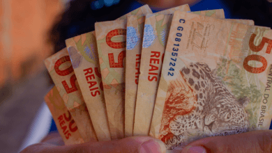 Chega de dúvidas! Aprenda HOJE a consultar se R$ 600 serão liberados neste mês!