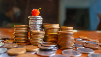 Governo ENCERRA pagamento de benefício em setembro e milhões de brasileiros são afetados