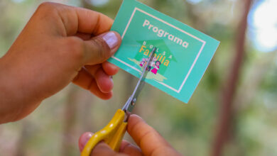 MDS divulga NOVAS regras do Bolsa Família; quem não seguir pode perder o benefício