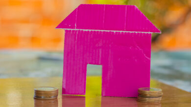 Minha casa minha vida