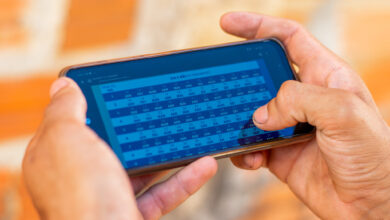 Calendário de janeiro do Bolsa Família já está disponível? Confira datas previstas!