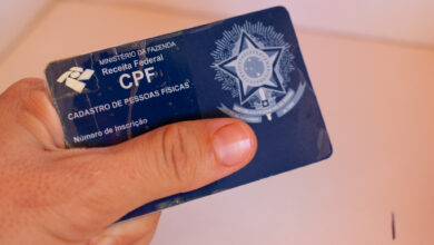 Aprenda a consultar benefícios do governo usando apenas seu CPF; guia completo