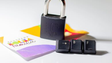 Bolsa Família: mais de 400 mil pessoas podem sofrer com novo comunicado do governo