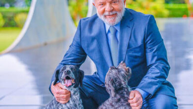 CadÚnico para pets? Veja como vai funcionar cadastro de animais aprovado por Lula