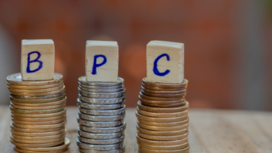BPC para autistas veja o que mudou com a nova lei e como isso afeta você
