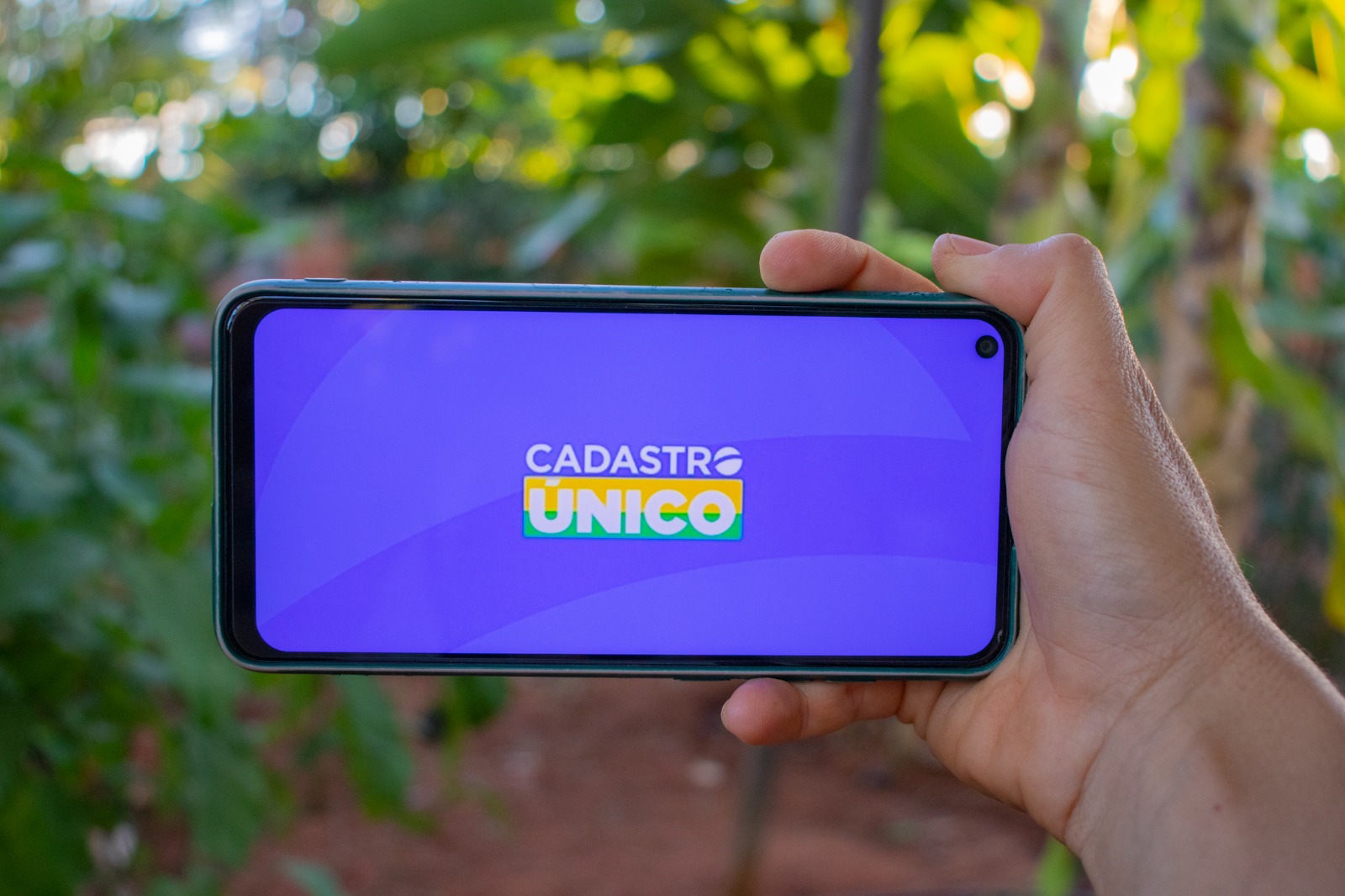 Famílias unipessoais do CadÚnico podem sofrer com nova fiscalização do governo