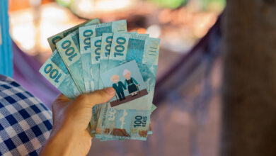 Se você é segurado do INSS, veja quando vai começar a receber seu pagamento.