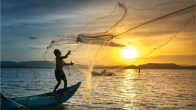 Os pescadores artesanais estão prestes a receber o seguro-defeso. Confira quando.