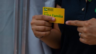 Vai receber o Bolsa Família este mês? Veja como consultar seu benefício.