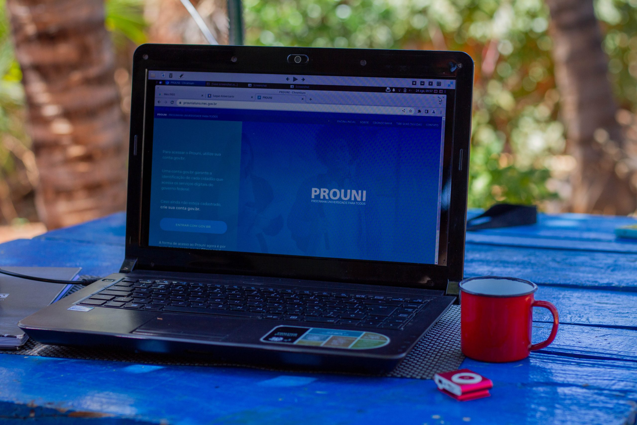 Ansioso para saber sua nota do ProUni? Veja se você passou ou não!
