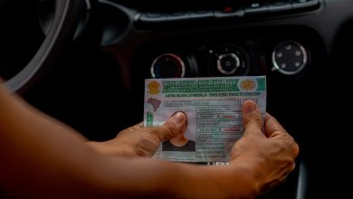 CNH: Detran envia comunicado para quem dirige há 10 anos ou mais