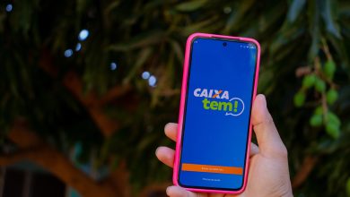 Caixa Tem: aprenda a desbloquear benefícios sociais pelo WhatsApp