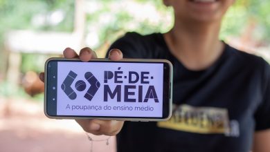 Pe-de-meia