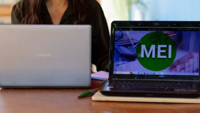 Declaração anual do MEI 2025 Como fazer e o que informar