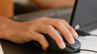 Ficha de avaliação de desempenho quais os modelos e como usar