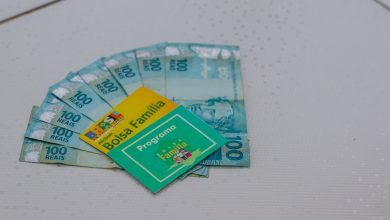 Moro sozinho, posso receber o Bolsa Família? Governo esclarece dúvida de brasileiros!