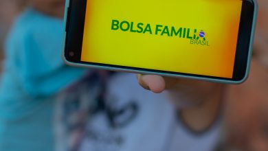 Notificação do Bolsa Família: aplicativo avisa beneficiários sobre nova exigência do programa