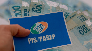 PISPASEP 2025 O que é, como solicitar e valores