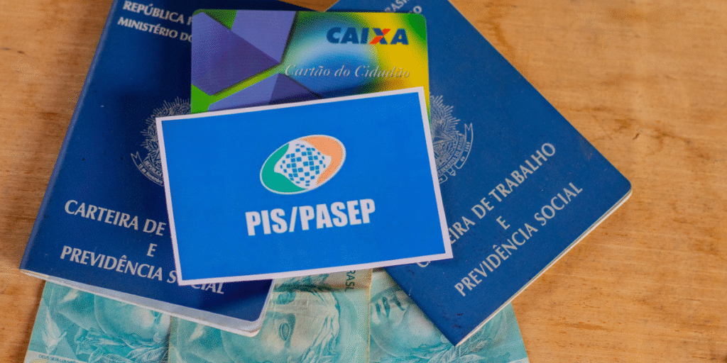 Repis Cidadão o que é, como acessar e calendário