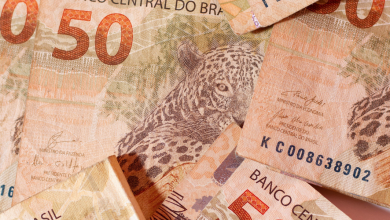 Saque Social o que é, quem tem direito e como consultar o valor pelo App