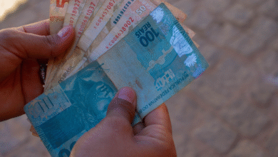 Como saber se fui aprovada no Mães de Pernambuco Veja o passo a passo