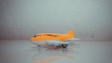 Voa Brasil aposentados veja quem tem direito às passagens de R$ 200