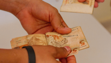 Auxílio Mães de Goiás como consultar, quem tem direito e como sacar (2)
