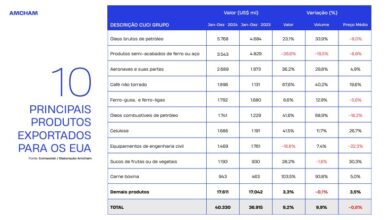 Taxados em 50%: veja os 10 produtos mais exportados do Brasil para os EUA