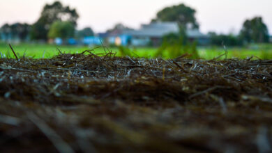 Câmara aprova novo marco do licenciamento ambiental; texto vai à sanção