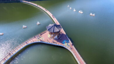 Daegu é a cidade mais cultural e promissora da Coreia do Sul