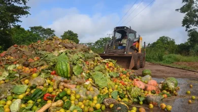 Desperdício bilionário de alimentos trava economia brasileira e exige solução logística
