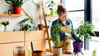A melhor solução para economizar e comer bem está no seu quintal