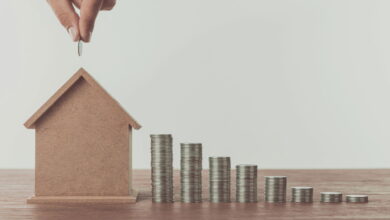 Moeda comum surpreende com preço alto entre colecionadores