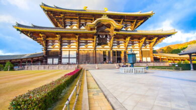 Nara é o destino mais encantador para quem ama cultura e natureza no Japão