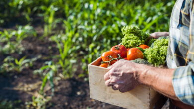 O segredo do agro que a Serasa revelou e você precisa saber