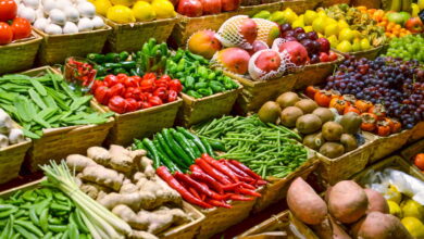 O jeito mais eficiente de conservar alimentos por mais tempo