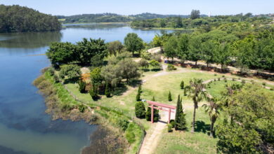 Cidade no interior de SP se destaca como uma das melhores para viver