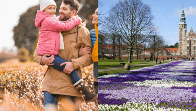 A cidade que virou exemplo global e que encanta quem busca paz e equilíbrio