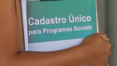 Mães de Pernambuco como saber se fui aprovado no programa social