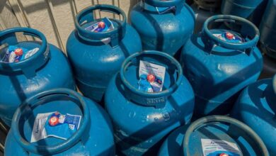 como consultar e garantir pelo Caixa Tem