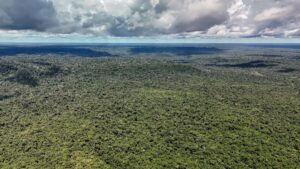 Cientistas alertam que devastação da Amazônia ameaça a ‘máquina de chuva’