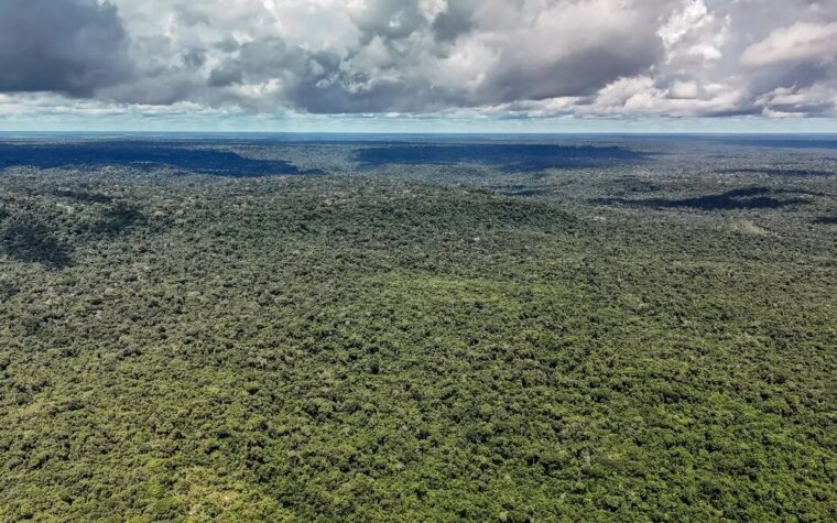 Cientistas alertam que devastação da Amazônia ameaça a ‘máquina de chuva’